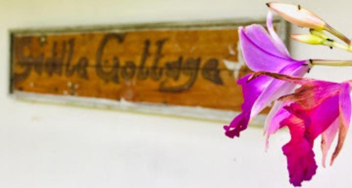 Saddle Cottage Ella Eksteriør billede